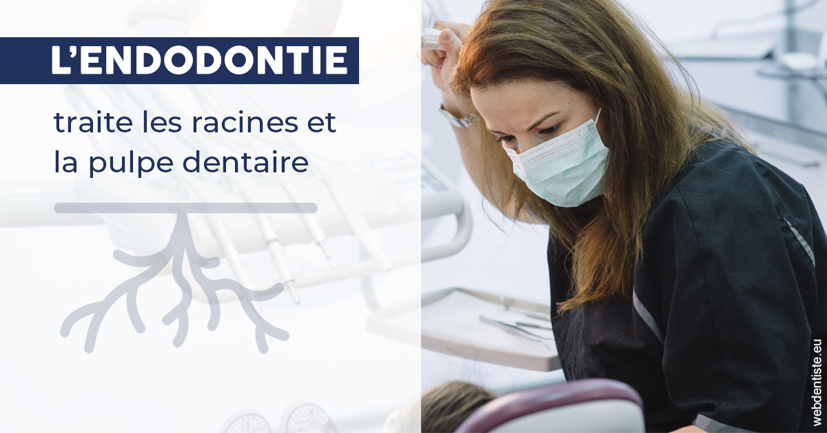 https://dr-domngang-olivier.chirurgiens-dentistes.fr/L'endodontie 1