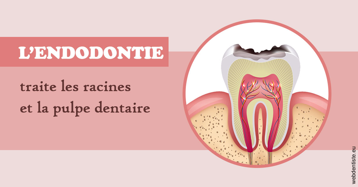https://dr-domngang-olivier.chirurgiens-dentistes.fr/L'endodontie 2