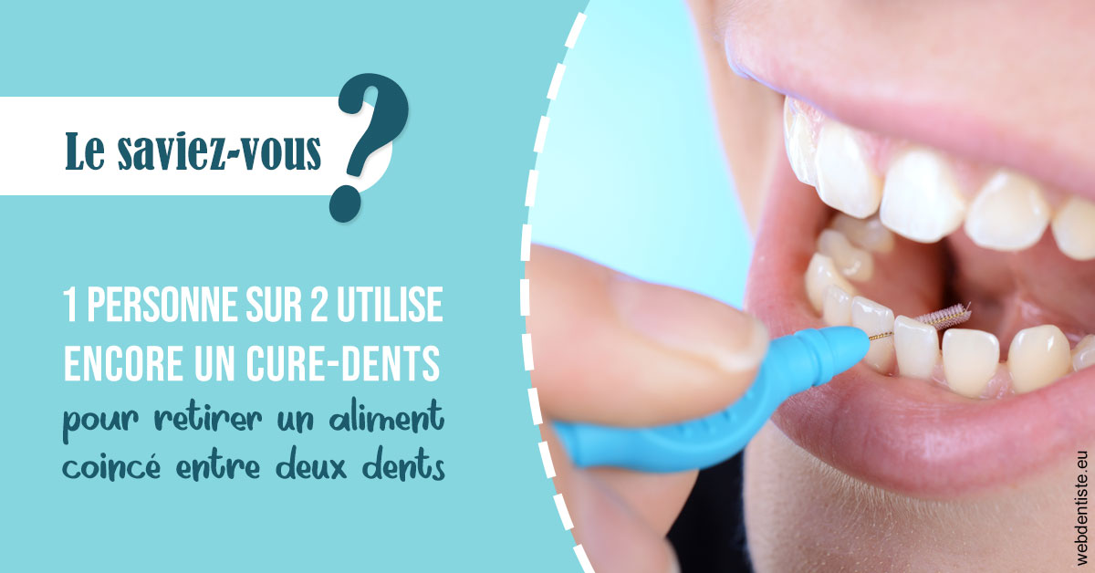 https://dr-domngang-olivier.chirurgiens-dentistes.fr/Cure-dents 1