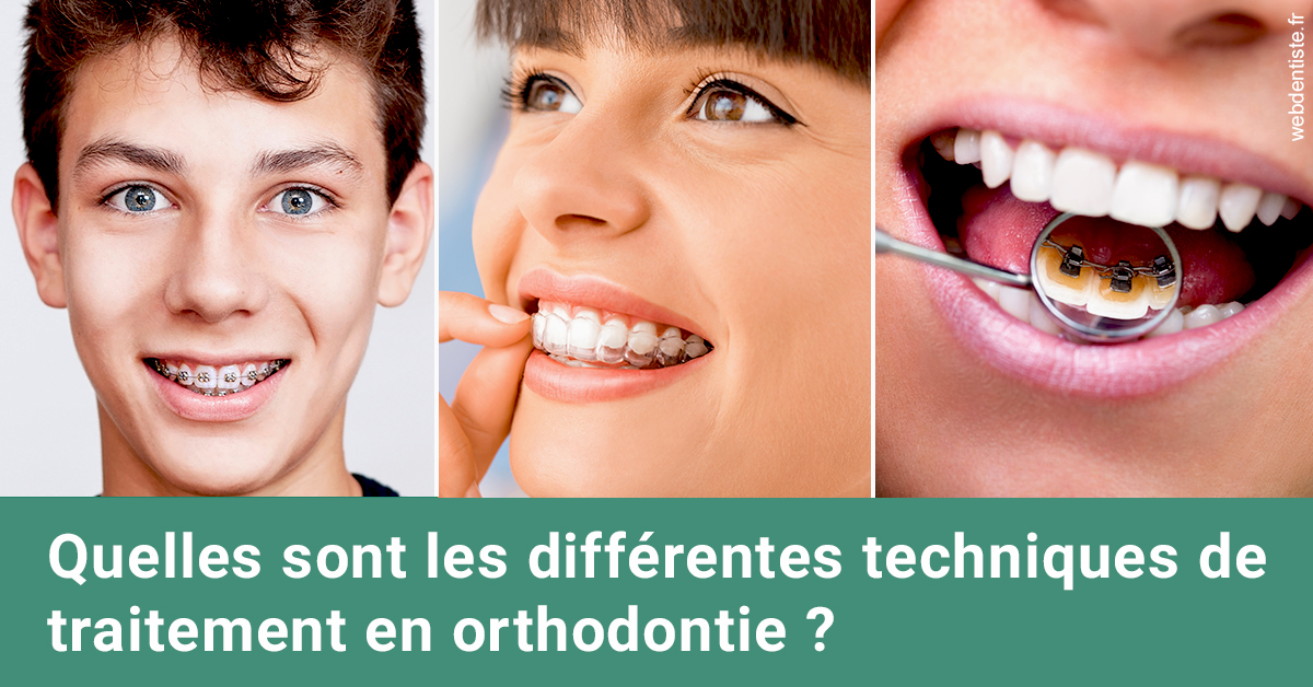 https://dr-domngang-olivier.chirurgiens-dentistes.fr/Les différentes techniques de traitement 2