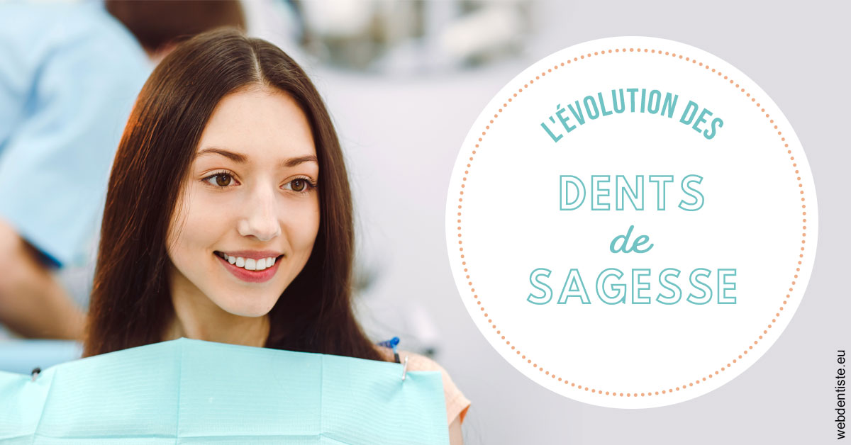 https://dr-domngang-olivier.chirurgiens-dentistes.fr/Evolution dents de sagesse 2