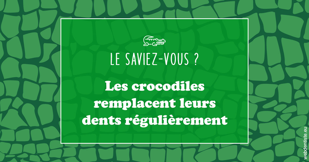 https://dr-domngang-olivier.chirurgiens-dentistes.fr/Crocodiles 1